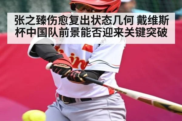 张之臻伤愈复出状态几何 戴维斯杯中国队前景能否迎来关键突破